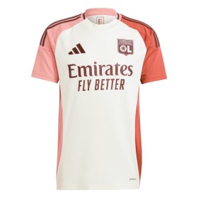 Fotbalový Komplet Olympique Lyon Dětské Alternativní 2024-25 Krátký Rukáv (+ trenýrky)